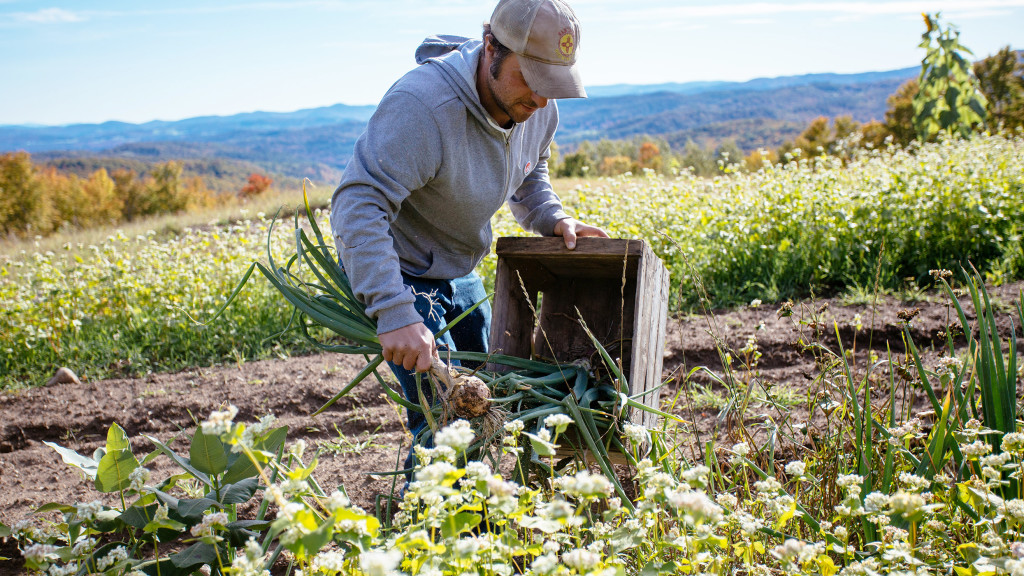 Galusha-Hill-Farm-Vermont-Destination2