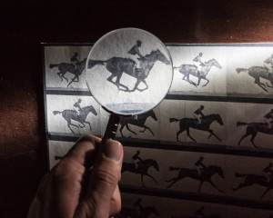 Eadweard Muybridge - Biography - 12FPS Logo