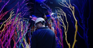 House of Eternal Return - Meow Wolf - 12FPS